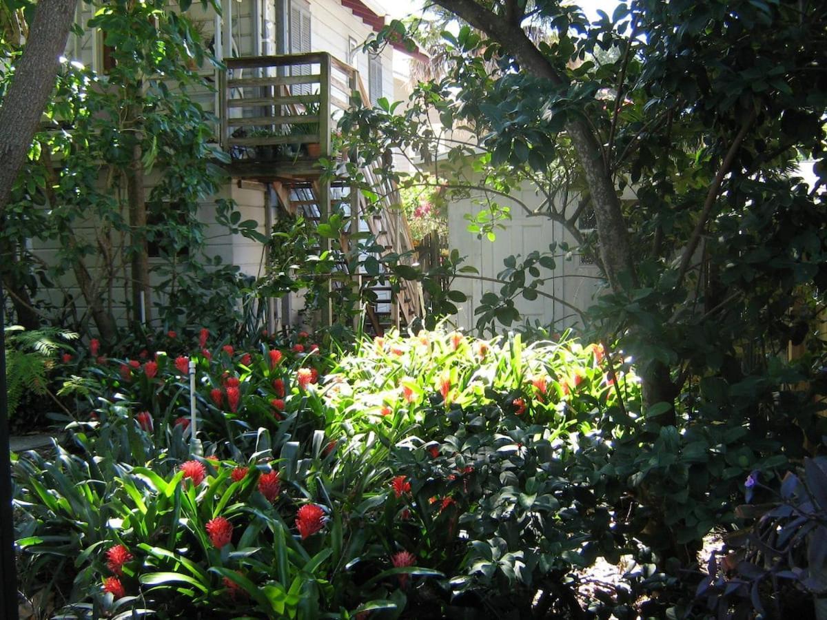 Apartamento The Treehouse San Petersburgo Exterior foto